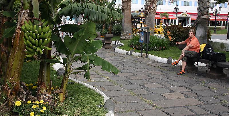 Puerto de la Cruz28.jpg